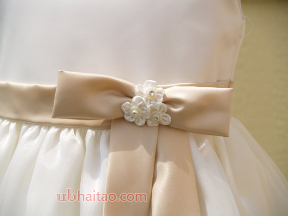 Flower Girl Dress Ivory and Champagne, Sleeveless, Crystal Organza, Girls Size 2 & 6,Pageant Dre