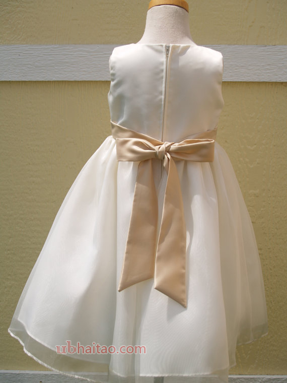 Flower Girl Dress Ivory and Champagne, Sleeveless, Crystal Organza, Girls Size 2 & 6,Pageant Dre